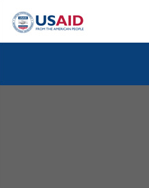 AID 111-4 (Reasonable Accommodation Information Reporting)