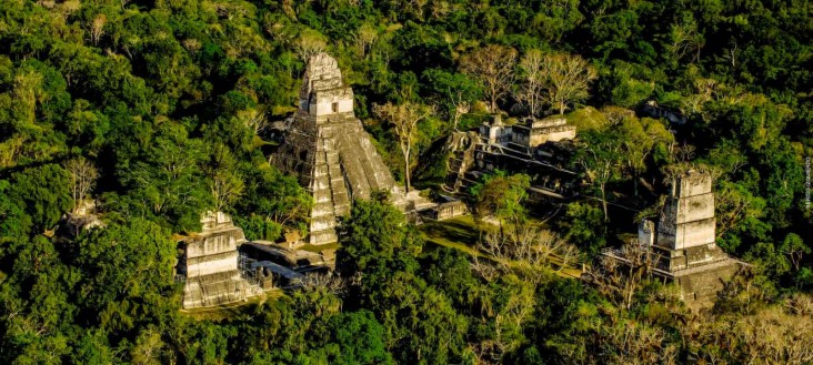 An aerial image of a Mayan temple surrounded by forest