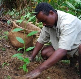 CRS Food Assistance Program in Madagascar