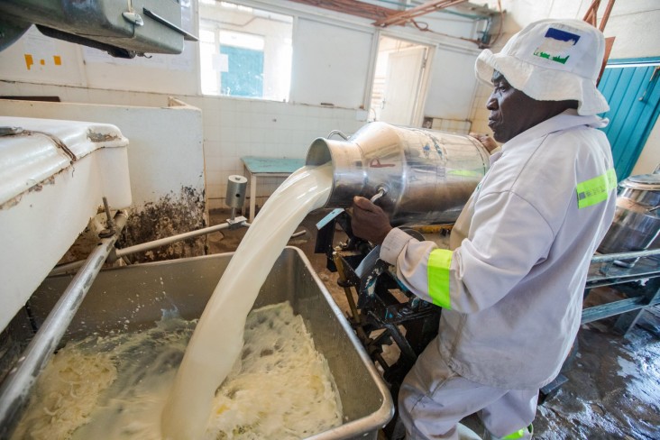 Feed the Future milk aggregator's milk delivery is processed at the local milk collection center.