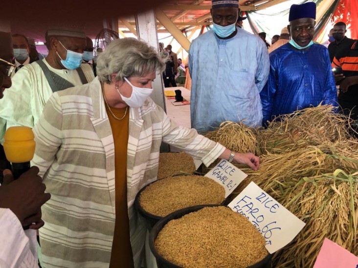 In Argungu, Kebbi State, U.S. Ambassador Mary Beth Leonard inspects a display of local rice varieties at a ceremony marking the launch of a new co-investment partnership with WACOT Rice. 