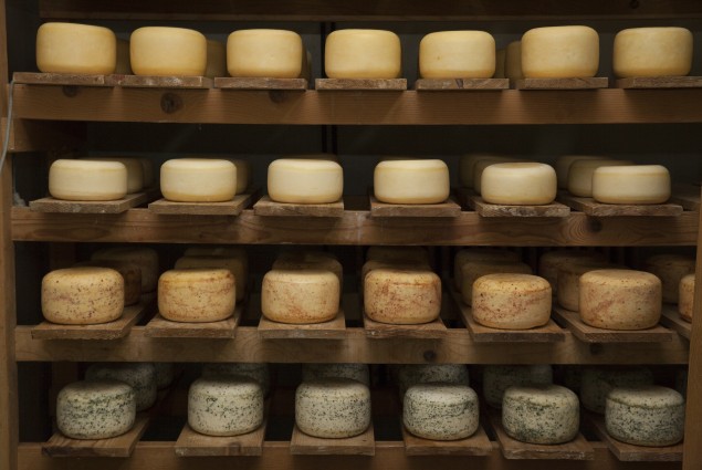 USAID-assisted cheese producers win top awards