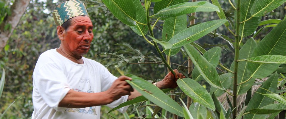 A benefactor of USAID’s Accelerating Inclusion and Mitigating Emissions (AIME) project. Photo by: USAID AIME Project