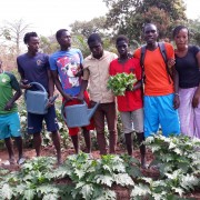 Young people in Fanda village in Niagis, Ziguinchor region, set up a farm for market gardening activities.