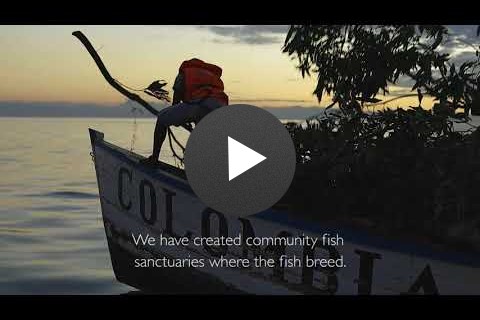 Communities Rally to Save Their Fisheries